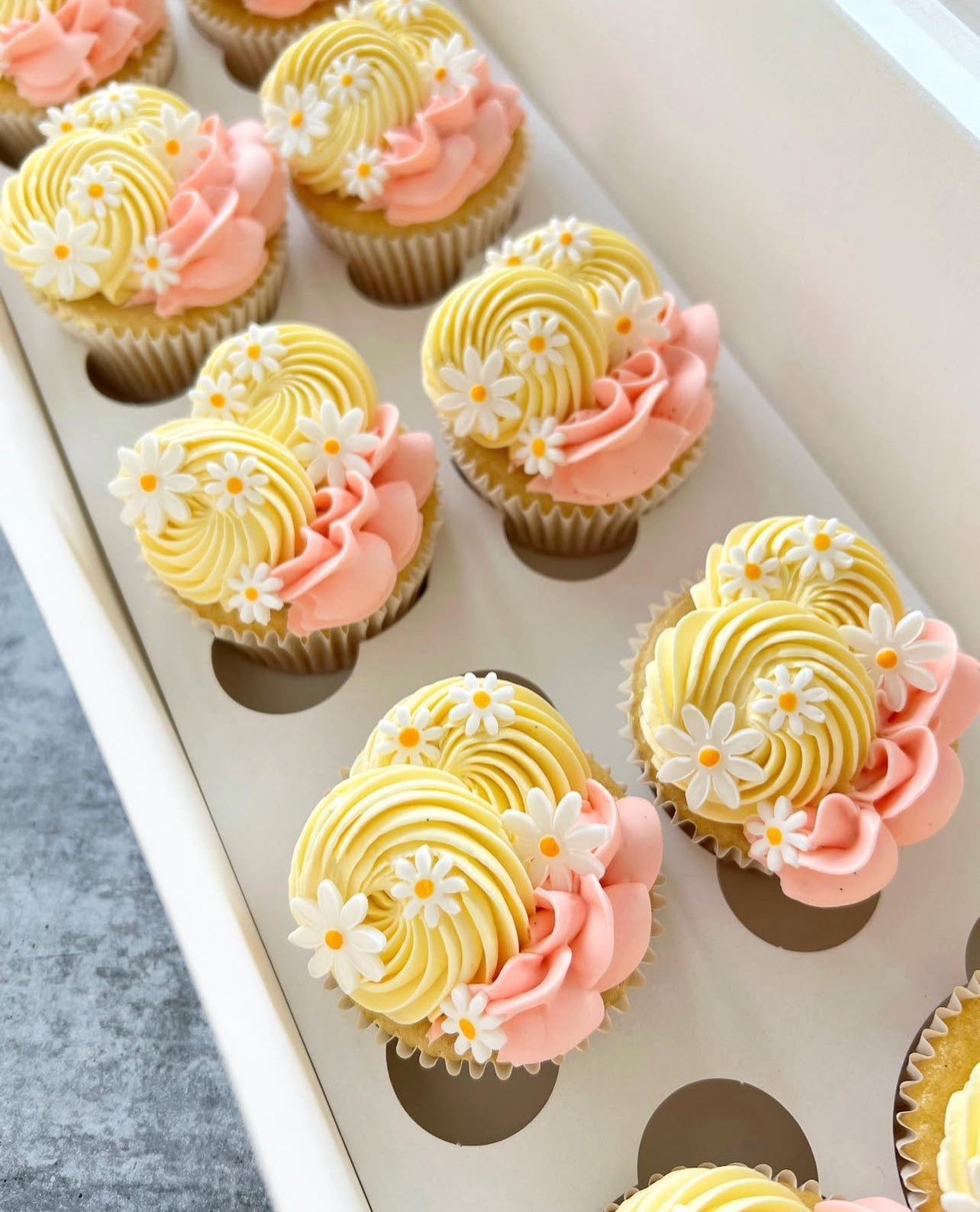 Full-size Daisy Cupcakes 12 Piece