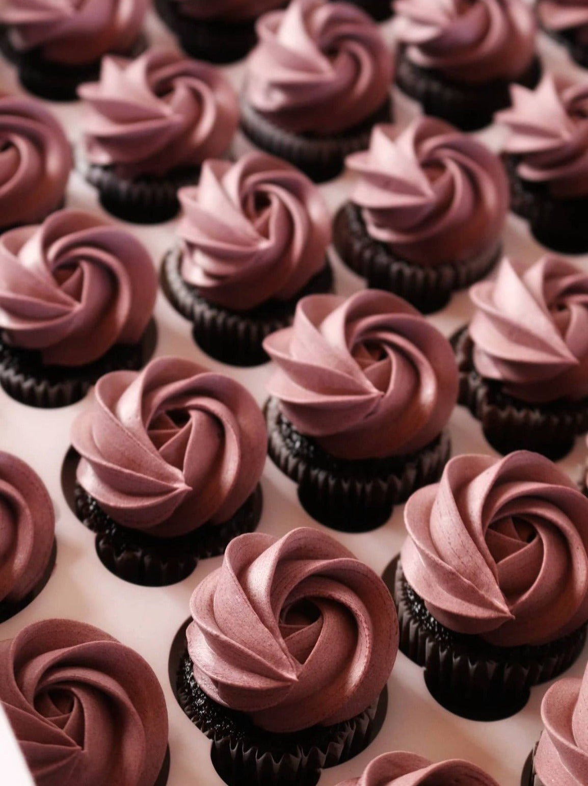 Mini Cupcakes 12 Piece