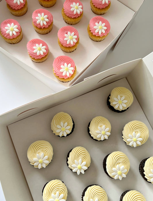 Mini Daisy Cupcakes 12 Piece