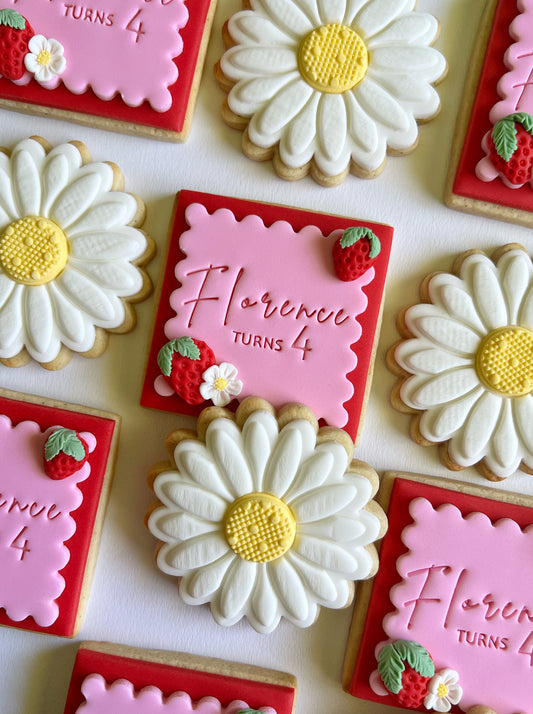 Strawberry Picnic Cookie Set 20 Pack