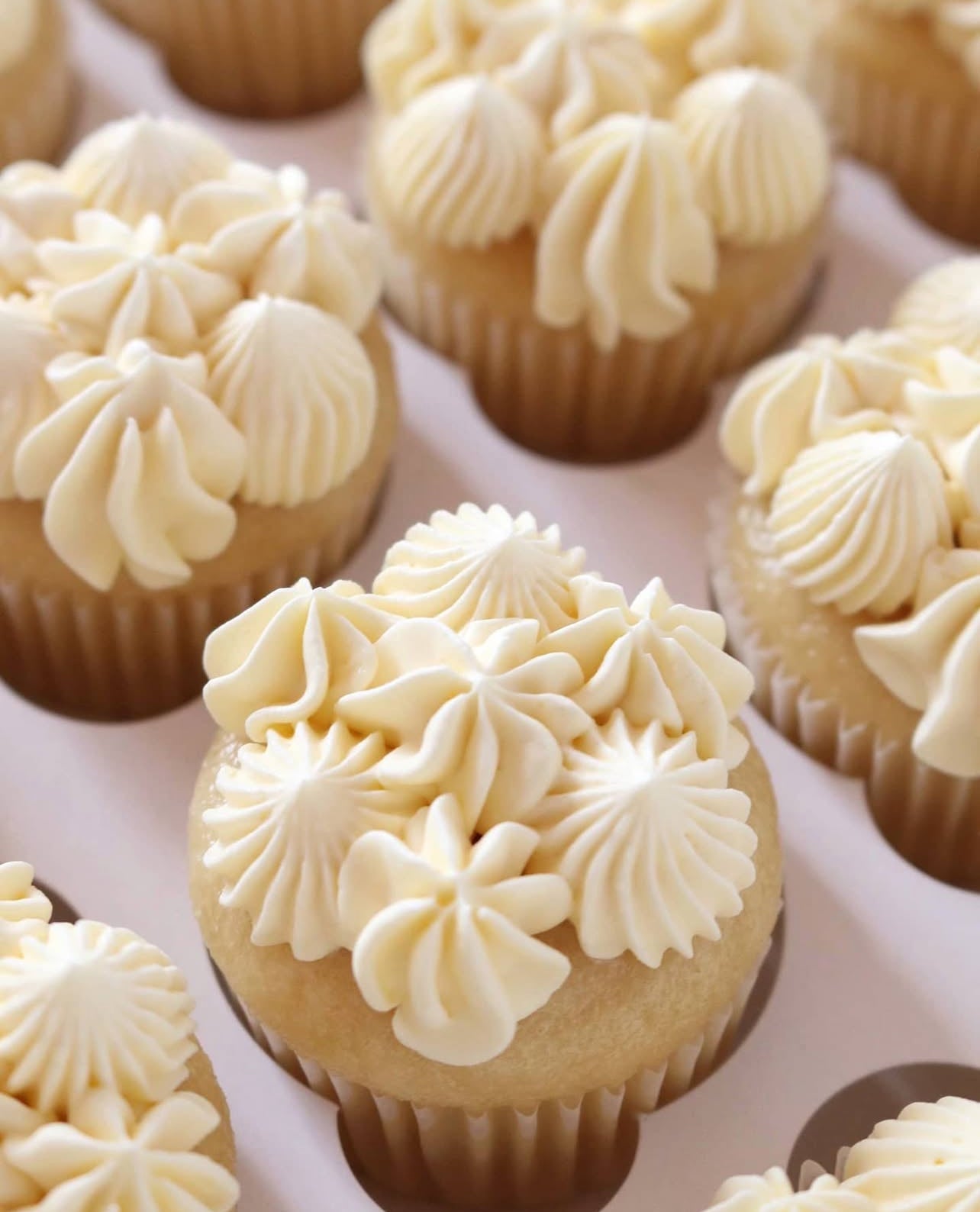 Mini Cupcakes 12 Piece